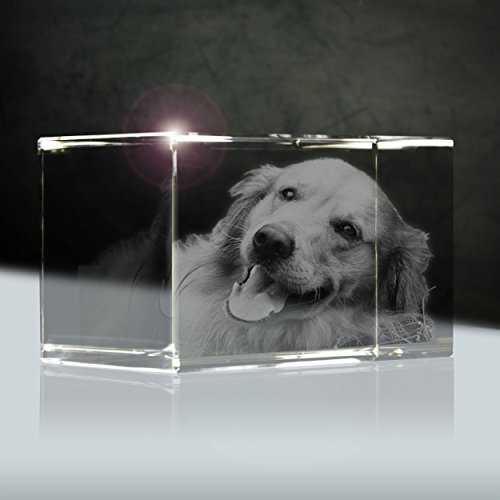 3D Laser Foto Glas | Quader 56mm | 1 Person oder Tier zB als Geschenk für Hund & Katze von 3Dglas
