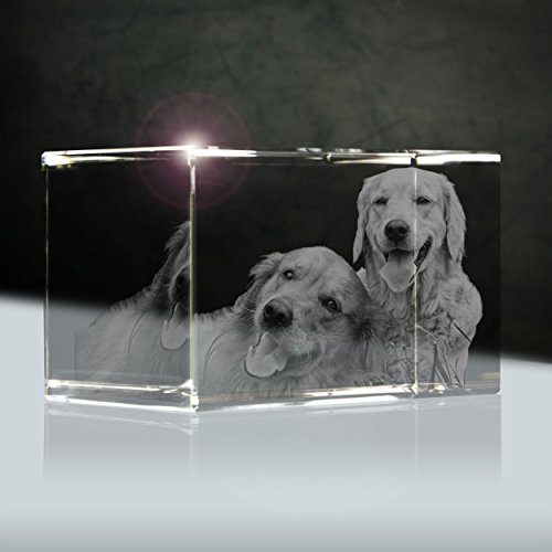 Glasportrait vom Foto (3D) | Quader 90mm | 1 bis 3 Personen oder Tiere zB als Geschenk für Paare mit Hund von 3Dglas