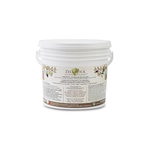 Zeo-Rock® Italienisches Zeolith mit sehr feinem, wasserlöslichem Chabasit (heilend, fixierend, Hitzeschild), belebendes Pulver - 1 kg - hochwertiger biologischer Anbau von 3ERRRE