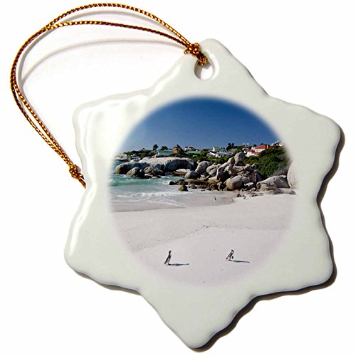 3dRose Afrikanischer Pinguin, Boulders Beach, Südafrika-AF42 RBE0069-Ralph H, Bendjebar Schneeflocke Ornament von 3dRose