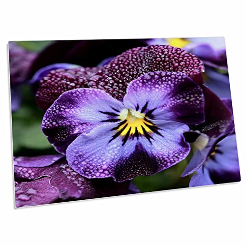 3dRose Dpd-335425-1 Makrofoto einer violetten Bratschen-Blume. Schreibtischunterlage, Tischset von 3dRose