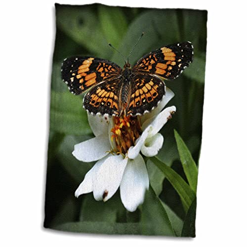 3dRose Handtuch, Motiv Fly a Photo with a Butterflies Wings, Mehrfarbig, 38,1 x 55,9 cm von 3dRose