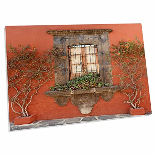3dRose - Mexiko, San Miguel de Allende - Landschaft der Fenster und Pflanzen - Schreibtischunterlage Platzset - (dpd-188331-1) von 3dRose