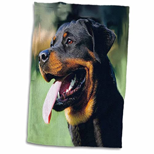 3dRose Rottweiler Handtuch, Polyester, Weiß, 15 x 22 von 3dRose