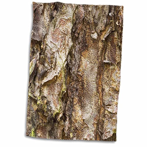 Hand-/Sporthandtuch, 3D-Rose, Motiv: River Birch Tree-Washington, Arboretum-Seattle-Us48 Dgu0232-Darrell Gulin, 38,1 x 55,9 cm von 3dRose