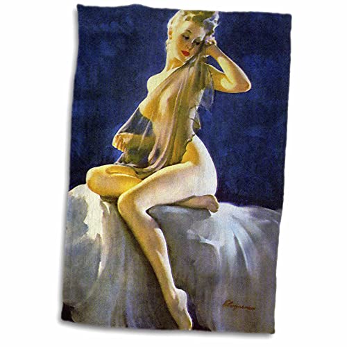 Handtuch, 3D-Rosenaufdruck von Elvgren Pinup Sheer Nude TWL_204162_1, 38,1 x 55,9 cm von 3dRose