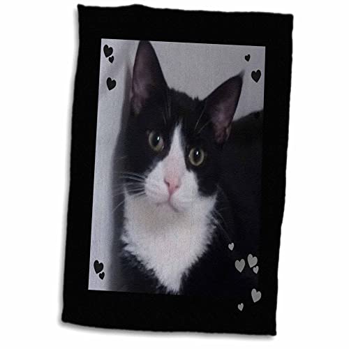 Handtuch mit 3D-Rosen-Motiv, Schwarz/Weiß, Tux, Katze, Nahaufnahme, Foto-Handtuch, 38,1 x 55,9 cm, Mehrfarbig von 3dRose