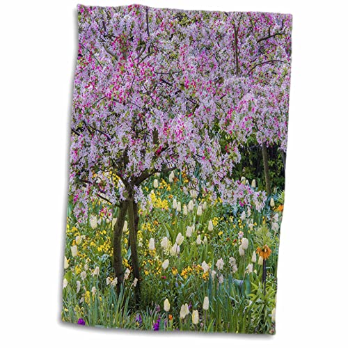 TWL_210032_1 Handtuch, Motiv Rose France Giverny Springtime in Claude Monets Garden, 38,1 x 55,9 cm von 3dRose
