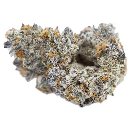 Pure Michigan von 3rd Coast Genetics