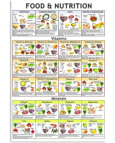 Aluminium Metallschild Lebensmittel & Ernährung Vitamine Und Mineralstoffe Infografik Blechschild Vintage Vintage Wanddekoration Lustiges Metall Poster Für Garage, Home, Office 30x40cm von 494