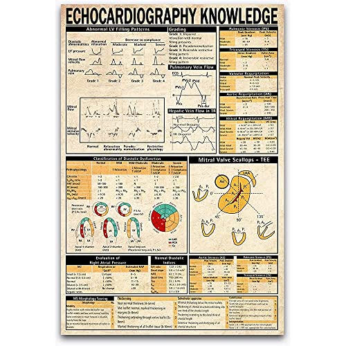 Blechschilder Kardiologie Guides Echokardiographie Wissen Kardiologen Kliniken Blechschild Generisch Metall Poster Lustiges Metallschild Für Bar, Badezimmer, Garten 20x30cm von 494