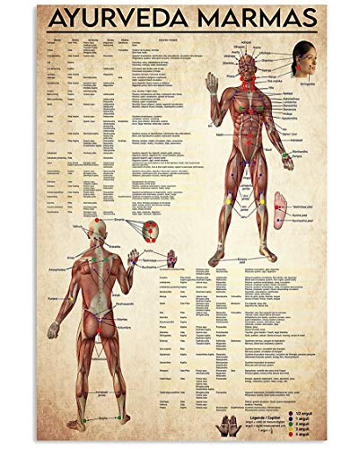 Blechschilder Retro Ayurveda Marmas Referenzhandbuch Ayurveda Medical Knowledge Metall-Blechschilder Nostalgie Warnschilder Generisch Kunst Wand Plakette Für Café, Badezimmer, Garage 20x30cm von 494