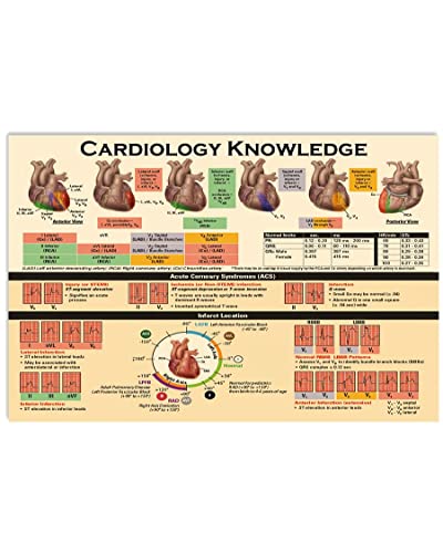 Metall Poster Kardiologie Wissen Kardiologie Infografiken Plaques Ärzte Aluminium Metallschild Retro Metallschild Generisch Warnschilder Für Geschenk, Bar, Garten 20x30cm von 494