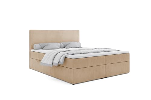 4ALL HOME Boxspringbett 140/160/180/200x200 cm mit Bettkasten - Pocket-Matratze H3 & Topper - Polsterbett mit Stauraum – Modernes Komfortbett Jule (Matt Velvet 08 Beige, 200x200cm) von 4ALL HOME