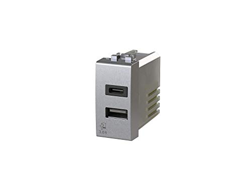 4box USB3.0 USB Netzteil 3 Ampere 2 Ausgänge auf Einzelmodul Typ A und Typ C Stecker kompatibel mit Bticino LivingLight Tech Silber 4box USB3.0 USB Netzteil 3 Ampere 2 Ausgänge auf Einzelmodul Typ A und Typ C Stecker kompatibel mit Bticino LivingLight Tech Silber von 4Box