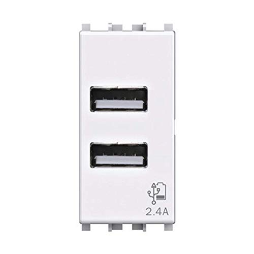 USB Wandsteckdose 2.4 Ampere, kompatibel mit Vimar Plana, Weiß von 4Box