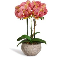 Kunstpflanze Orange Orchidee Phalaenopsis 42 cm - Rosa von 4EVER GREEN