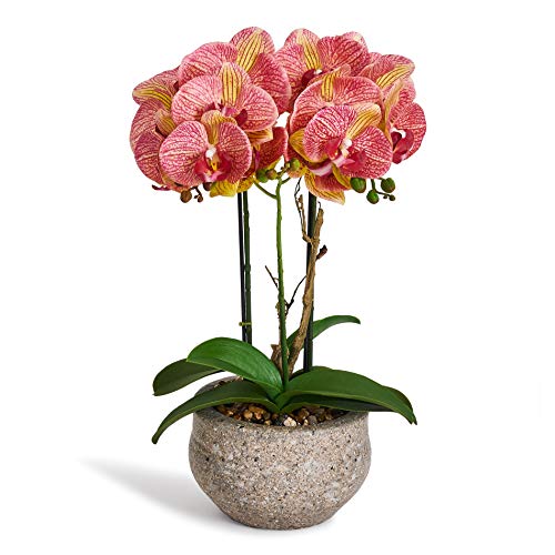 4Ever Green Künstliche Große Kunstblumen Orange Helllila Orchidee Phalaenopsis Künstliche Blumen Deko Kunstpflanze Kunstblume im Grau Zement Topf, 42 cm Hoch von 4Ever Green