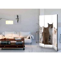 Fotodruck Paravent mit Katzen Motiv modern von 4Home