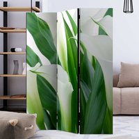 Fotoprint Paravent in Weiß und Grün Callablüten Motiv von 4Home