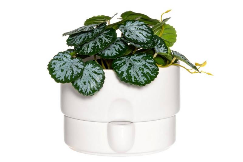 4LIVING Blumentopf von 4LIVING