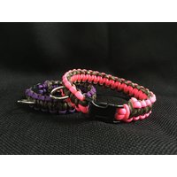 Hundehalsband Aus Paracord in 1, 5 Mm Breite 2 Farben Und Einer Wunschgröße Für Kleine Hunderassen von 4PawsOnlyNovelties