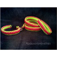 Paracord Hundehalsband Und Leine Nach Wahl | 2 Farben Wahl von 4PawsOnlyNovelties