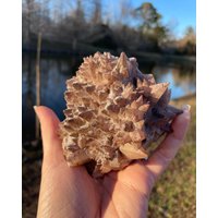 Großer Hundezahn Calcit Exemplar von 4TheLoveOfCrystalsNC