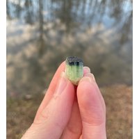 Teilweise Terminated Blau-Spitze Grüner Turmalin von 4TheLoveOfCrystalsNC