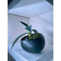 Schräger Schwarzer Moderner Keramik Übertopf Für Sukkulenten/Bonsai/Orchidee 10cm-Frei von 4YurrCrib