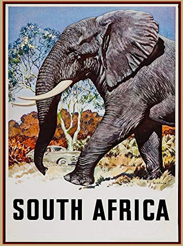 501 Metallschild Südafrika-Weinlese-Afrikanischer Elefant-Reise Eisenmalerei Lustiges Blechschilder Vintage Wanddekoration Für Garage Küche Bar 20x30 cm von 501