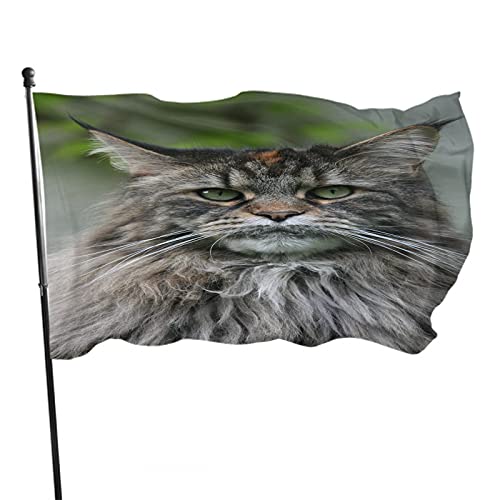 Garten Flaggen Maine-Coon-Katzenkopf Dekorative Fahnen Durable Feiertage Flags Verblassen ​Beständig Yard-Flaggen Für Rasen Garten Jahreszeiten 152x90 cm von 501