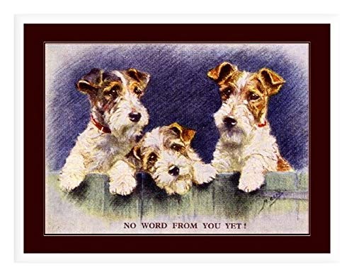 Metallschild Bilddruck Draht Foxterrier Welpe Hund Trio Art.-Nr Badezimmer Dekor Retro Eisenmalerei Nostalgie Blechschilder Für Badezimmer Home Bar 20x30 cm von 501