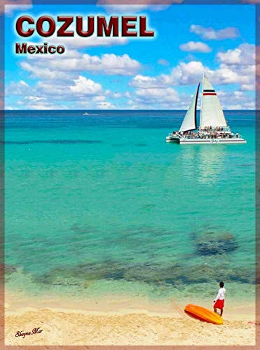 Metallschild Cozumel Beach Mexiko Mexikanische Inselreise Badezimmer Dekor Nostalgie Wanddekoration Generisch Metall Wandposter Für Home Garage Küche 20x30 cm von 501