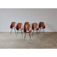 Set Aus 6 Medea Chairs Von Vittorio Nobili, Fratelli Tagliabue, Italien, 1950Er Jahre von 506070