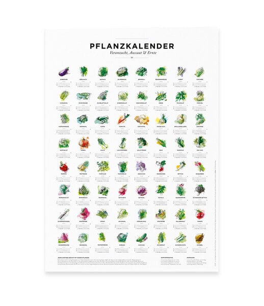 531 Rheinland Design Pflanzkalender und Aussaatkalender für den Garten als Poster von 531 Rheinland Design