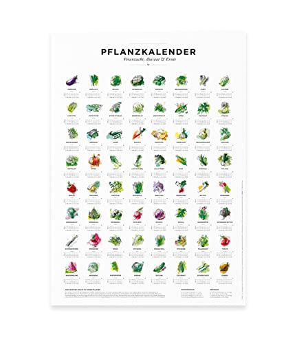 Pflanzkalender und Aussaatkalender für den Garten, Aussaatzeiten für 64 verschiedene Gemüsesorten als Poster in Farbe mit und ohne Rahmen (Nur das Poster, 50x70cm) von 531 Rheinland Design