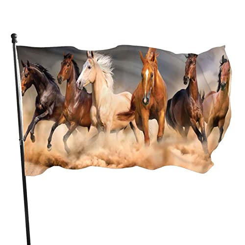 Außenbanner 90X150cm Pferd Läuft In Der Wüste Hanging Flag Lichtbeständige Flagge Lebendige Farbe Garten Fahnen Für Drinnen Parade Dekoration von 550