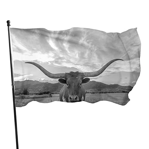 Dekoration Fähnchen 90X150cm Tier Texas Longhorn Hanging Flag Personalisierte Flagge Premium Garten Flagge Für Veranda Dekoration Drinnen von 550
