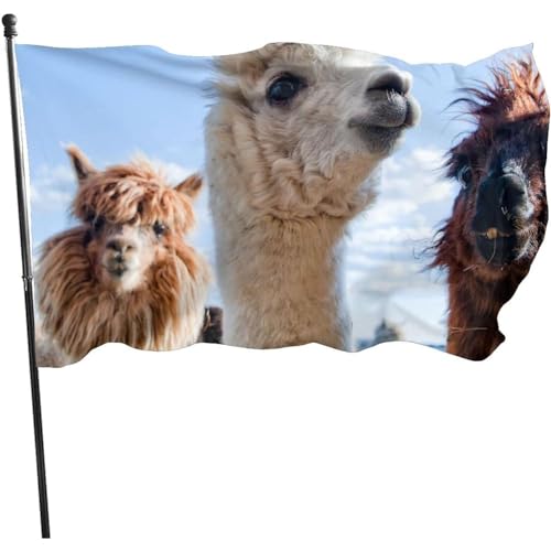 Fahne 90X150cm Süßes Alpaka-Lama Flagge Dekorative Garten Banner Uv-Beständig Haus Hof Flagge Für Paraden Haus Drinnen von 550