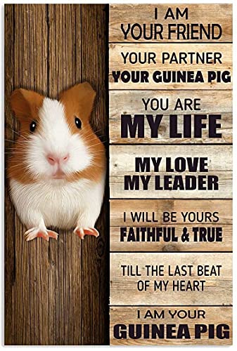 Metallschild Meerschweinchen Ich Bin Dein Freund, Dein Partner, Dein Meerschweinchen Metall Poster Generisch Blechschild Lustiges Blechschild Vintages Für Garage Bar Badezimmer S von 56