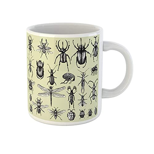 759 Tassendruck Big of Insekten Bugs Käfer Und Bienen Viele Arten Tassen Beidseitig Bedruckt Teetassen Modern Teetasse Für Geschenk Männer Kaffee 330Ml von 759