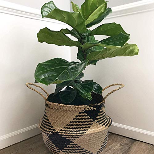 7WUNDERBAR Seegras Korb Blumentopf Stroh Blumenkorb Wäschekorb faltbar Aufbewahrungskorb groß mit Griff für Kinderzimmer Badezimmer (D#38CM*34CM) von 7WUNDERBAR