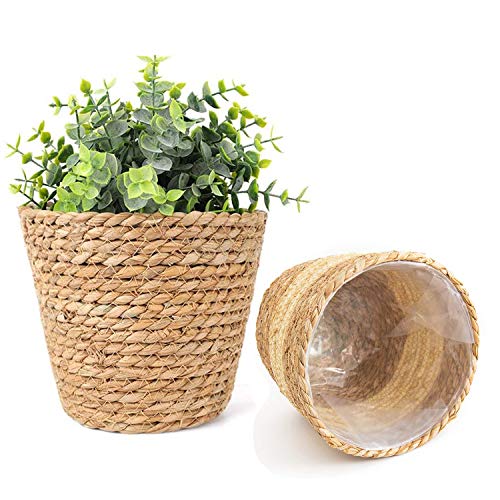 Generic M9E7 BEEK Pflanzenkörbe Blumenkorb Blumentopf Pflanzkorb Pflanzentöpfe Übertöpfe Aufbewahrungskorb 18cm 2er Set für drinnen und draußen, Acrylic von BEEK