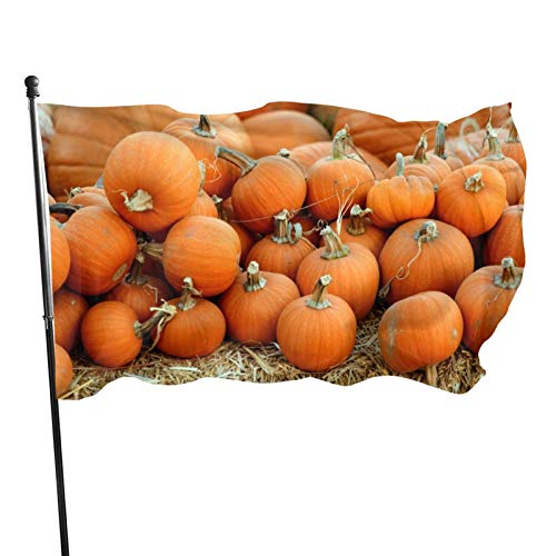Bannerfahnen Oraneg Kürbis Garten Fahnen Durable Dekorative Fahnen Verblassen Beständig Willkommensflagge, Für Feiertage, Bauernhaus von 803