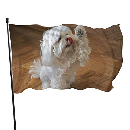 Garten Flagge Süßer Maltesischer Weißer Hund Flaggen Mit Öse Lustige Flagge Mit Ösen Verblassen Beständig Sommer Flaggen, Für Veranda, Garten von 803