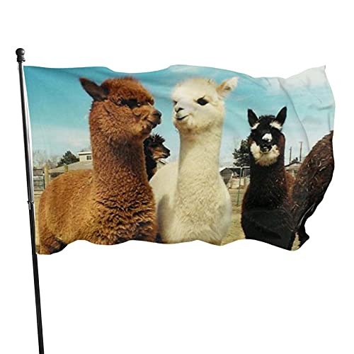 Gartenfahne Niedliche Lamas Flauschiges Alpaka Außenbanner Lustige Dekorationen Flagge Durable Bauernhof Flaggen, Für Feiertage, Veranda von 803