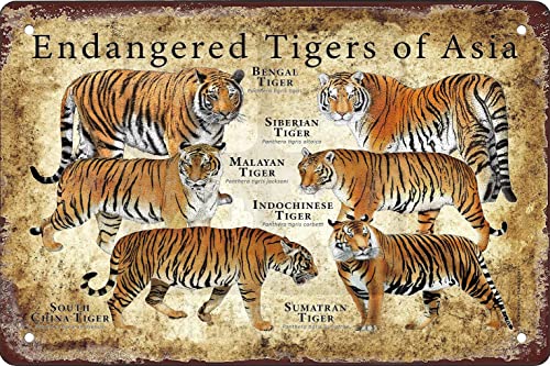 Deko Schild Unterschied Zwischen Tiger Und Bengal-Tiger Blechschild Personalisierte Metall Wandschild Retro Deko Blechschild Für Deko Garten Büro M von 874