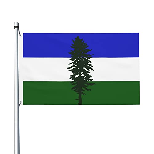 Garten Flaggen Flagge Von Cascadia Feiertage Flags Lebendige Farbe Balkonflagge Dekoration Garten Banner Für Parade Festival Fête 90x150cm von 874