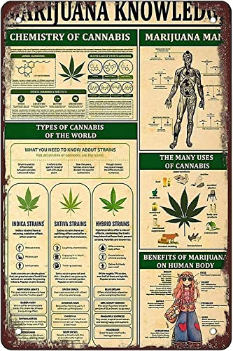 Metall Schilder Marihuana-Wissen Blechschild Retro Metallschild Personalisierte Blechschilder Für Haus Bar Deko M Metall Schilder Marihuana-Wissen Blechschild Retro Metallschild Personalisierte Blechschilder Für Haus Bar Deko M von 874